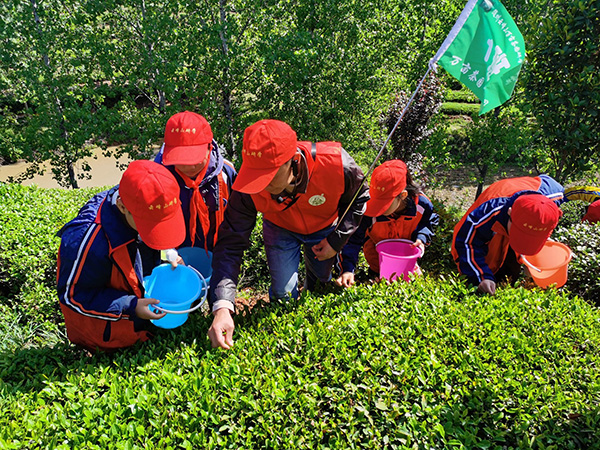 QQ圖片20230715160227 - 副本.jpg